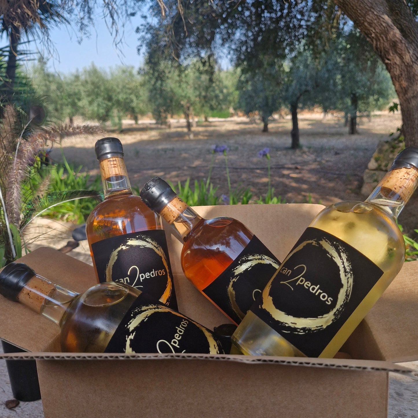 Wein Probierpaket